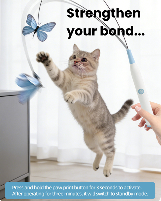 2-in-1 Automatic Cat Teaser