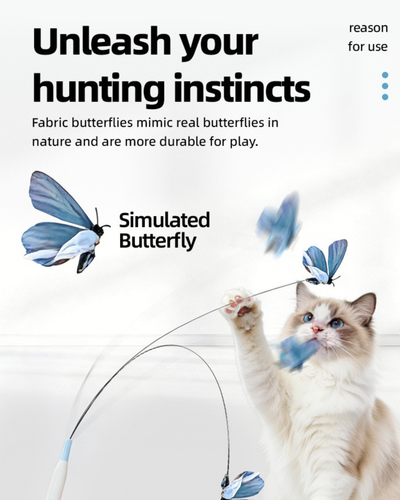 2-in-1 Automatic Cat Teaser