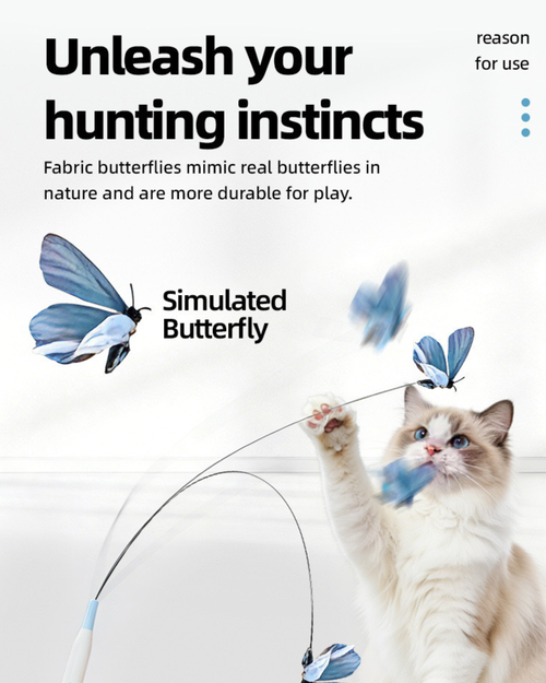 2-in-1 Automatic Cat Teaser