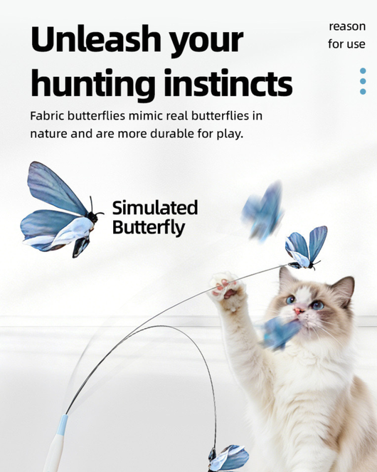 2-in-1 Automatic Cat Teaser